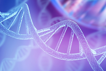 Bachelor of Science in Biology